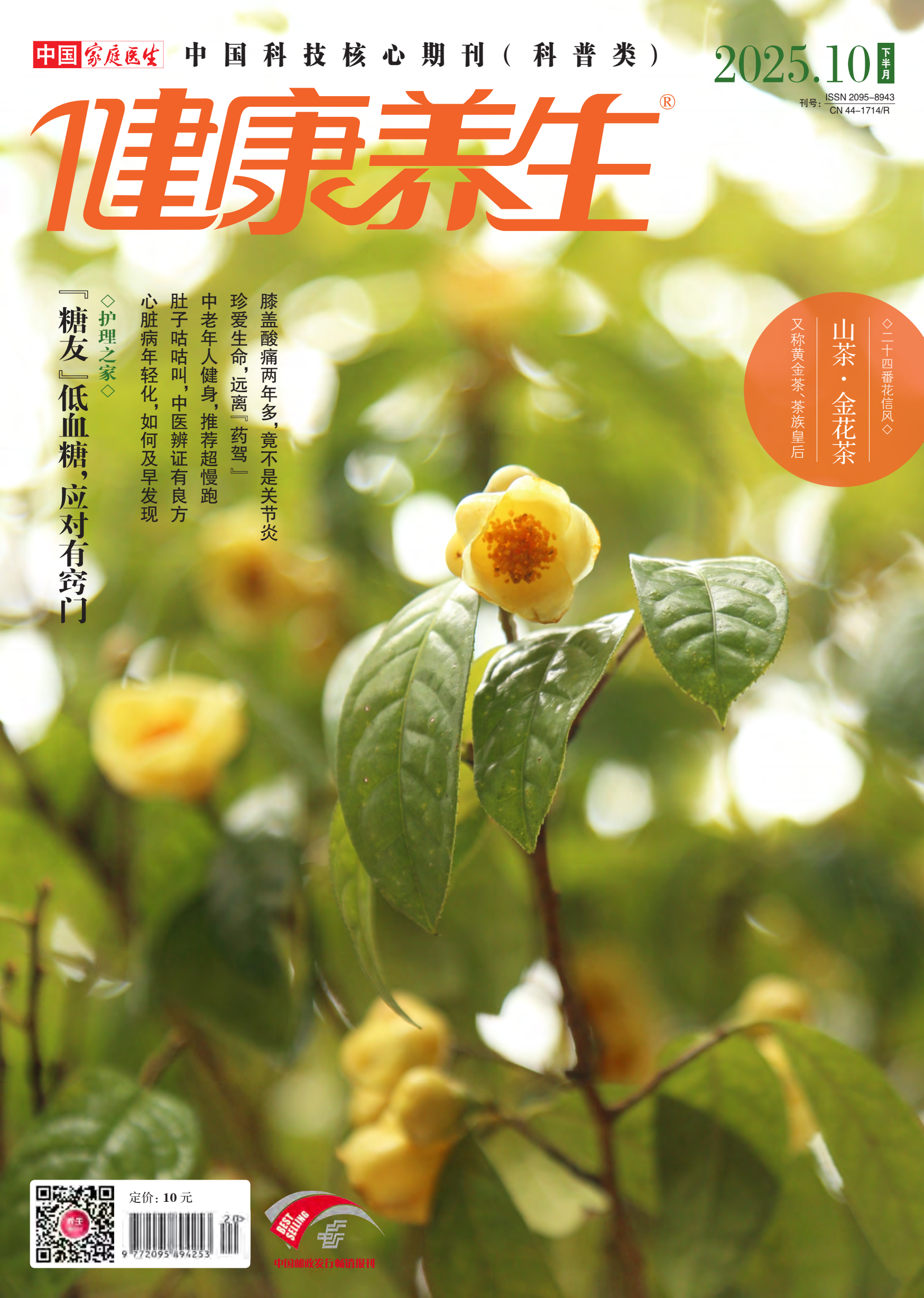 《健康养生》期刊简介